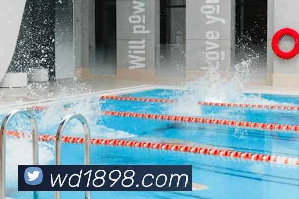 伟德体育平台生态图