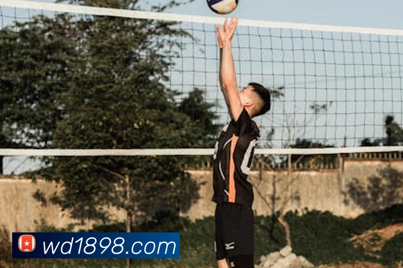 伟德体育APP 封面图